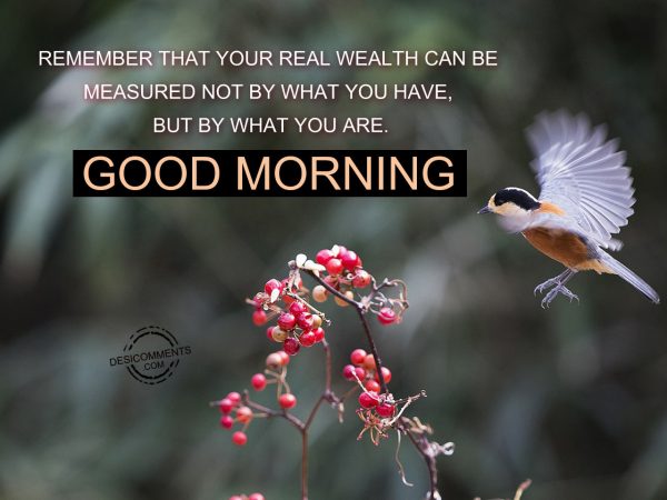 Remember That Your Real Wealth Can Be Measured Not By What You Have