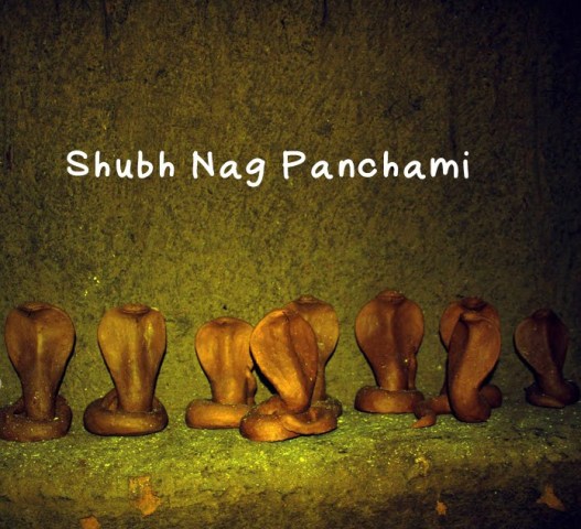 Shubh Nag Panchami Image