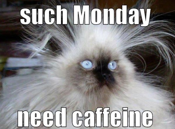 Such monday need caffeine