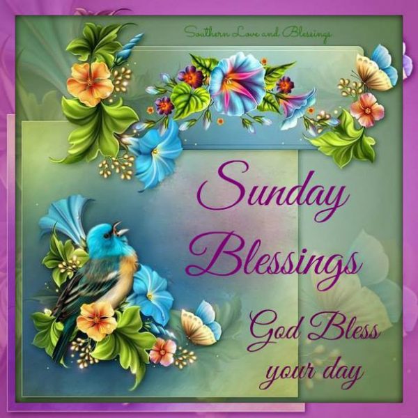 Sunday Blessings God Bless Your Day