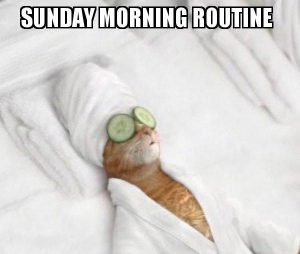 Sunday Morning Routine