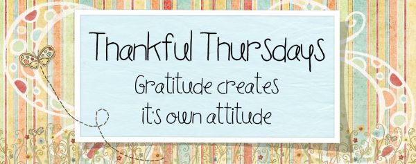 Thankful Thursday Gratitude Creates Its Own Attitude