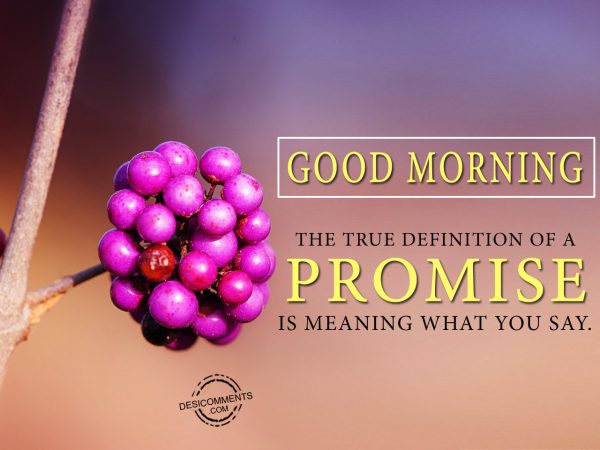 The True Definition of A Promise Is Meaning What You Say.