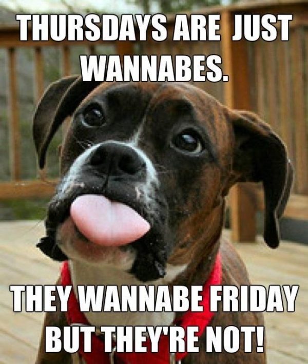 Thursday Are Just Wannabes