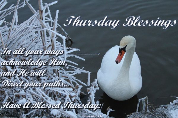 Thursday Blessings !