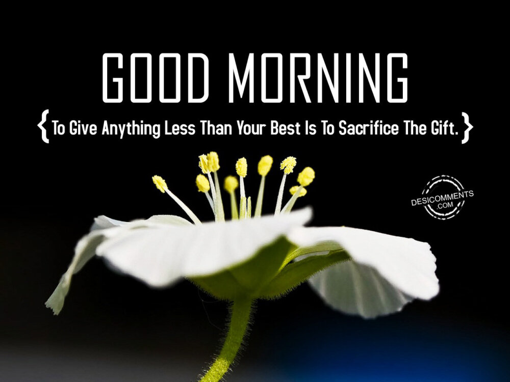 To Give Anything Less Than Your Best Is To Sacrifice The Gift ...