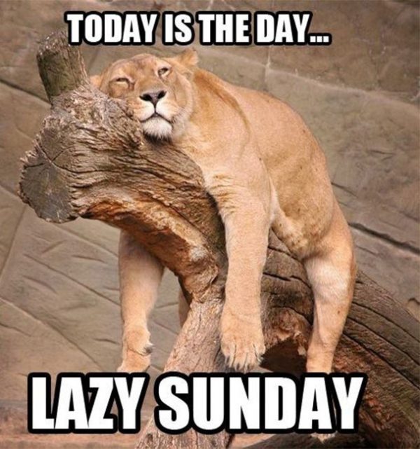 Today Is The Day Lazy Sunday