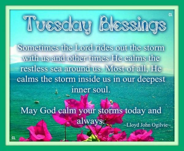 Tuesday blessings