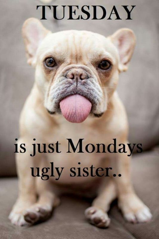 Tuesday is just mondays ugly sister