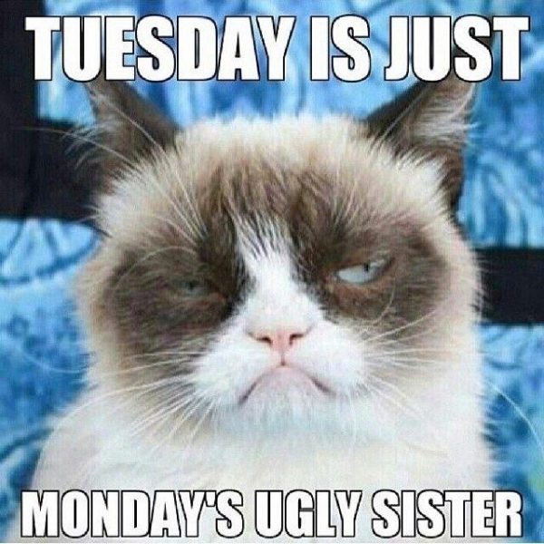 Tuesday Is Just Mindays Ugly Sister 