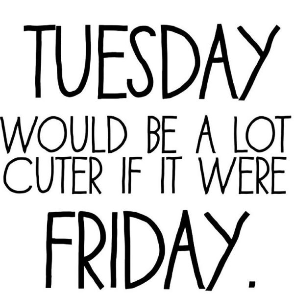 Tuesday would be a lot cuter