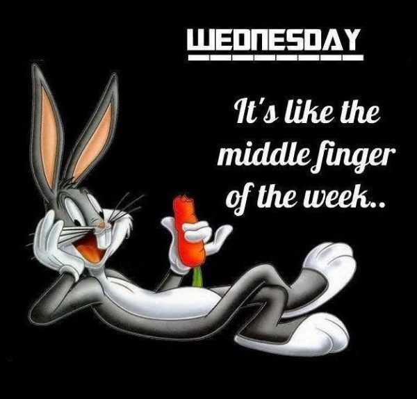 Wednesday Its Like The Middle Finger Of The Week