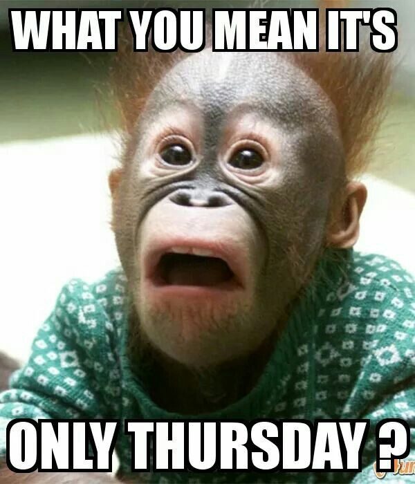What You Mean its Only Thursday