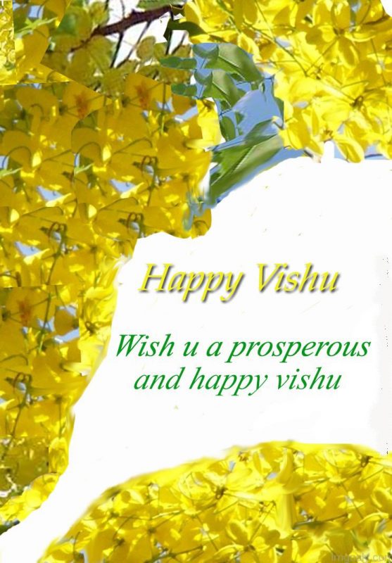 Wish You A Prosperous And Happy Vishu