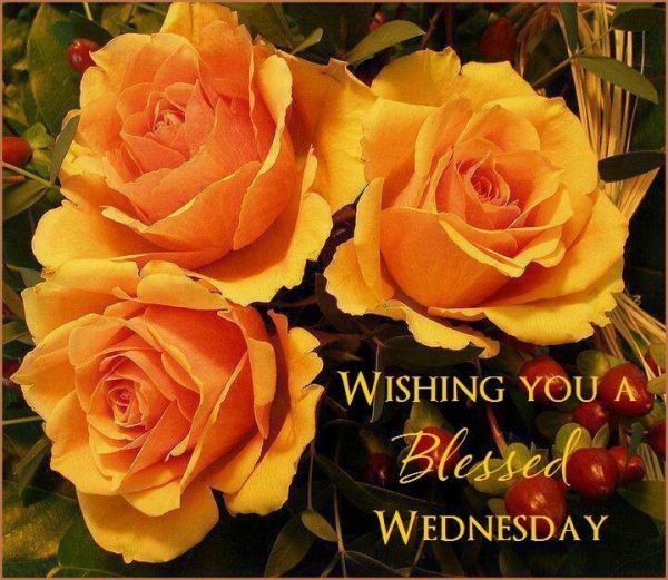 Wishing You A Blessed Wednesday