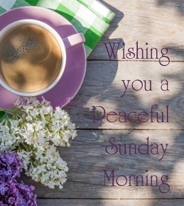 Wishing You A Peaceful Sunday Morning