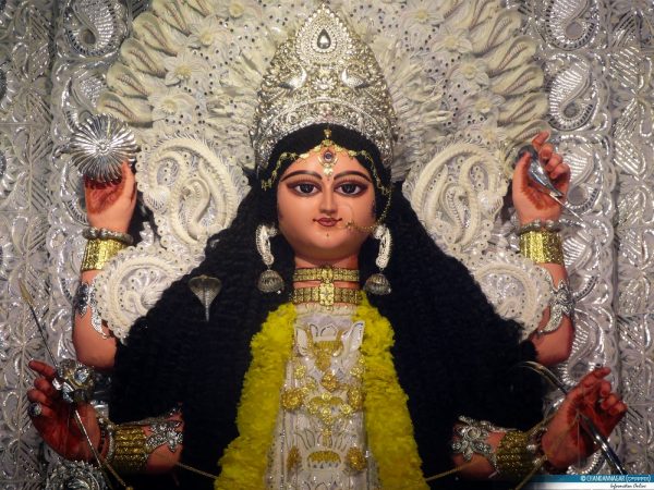 Jagadhatri Puja Image