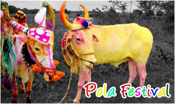 Pola Festival