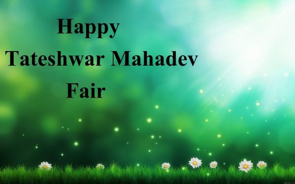 Tateshwar Mahadev Fair