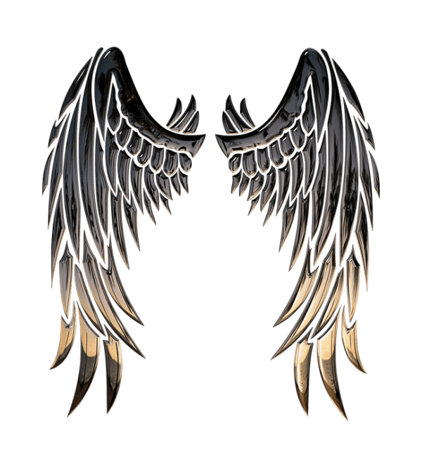 Angel Wings