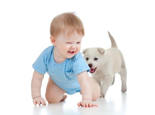 Baby With Puppy