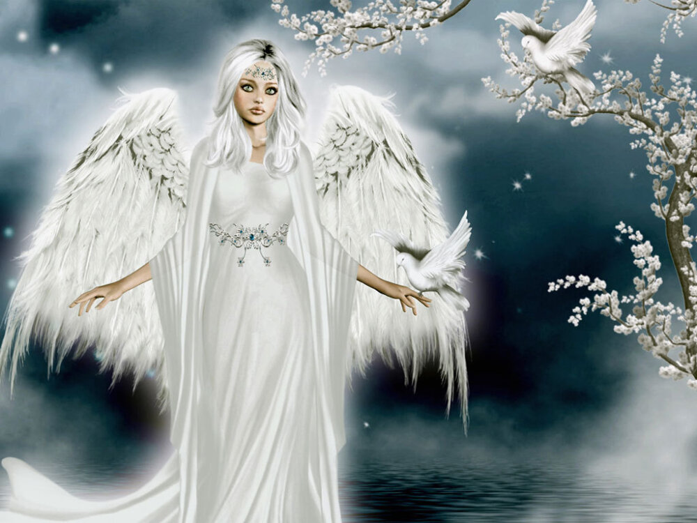 Beautiful Image Of Angel - DesiComments.com