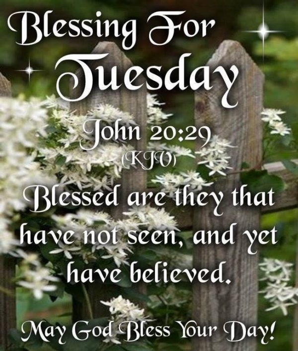 Blessing For Tuesday