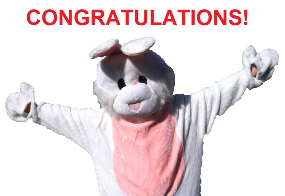 Congratulations Rabbit Graphic.