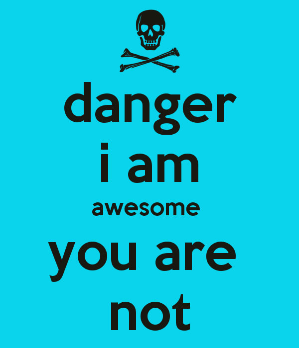 Danger I Am Awesome You Are