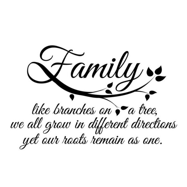 Family Like Branches Or A Tree