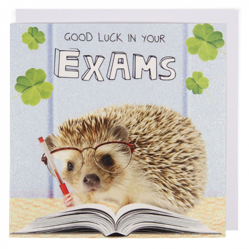 Good Luck In Your Exams Pic - DesiComments.com