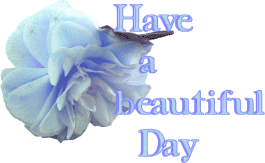 Have A Beautiful Day Graphic