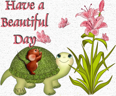 Have A Beautiful Day Tortoise Graphic