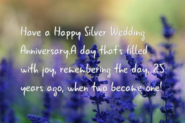 Have A Happy Silver Wedding