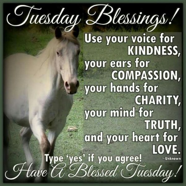 Tuesday Blessings, Have A Blessed Tuesday!