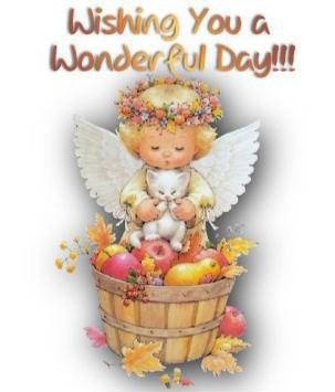 Wishing You A Wonderful Day Angel