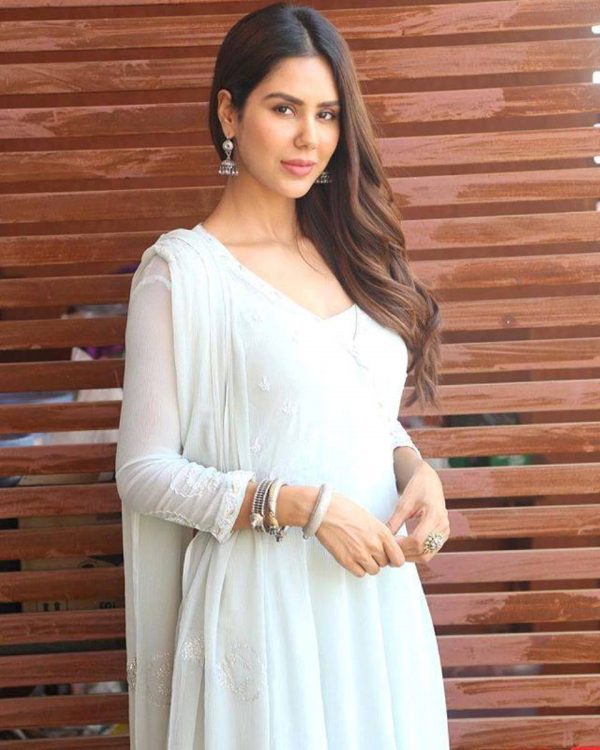 Gorgeous Sonam Bajwa