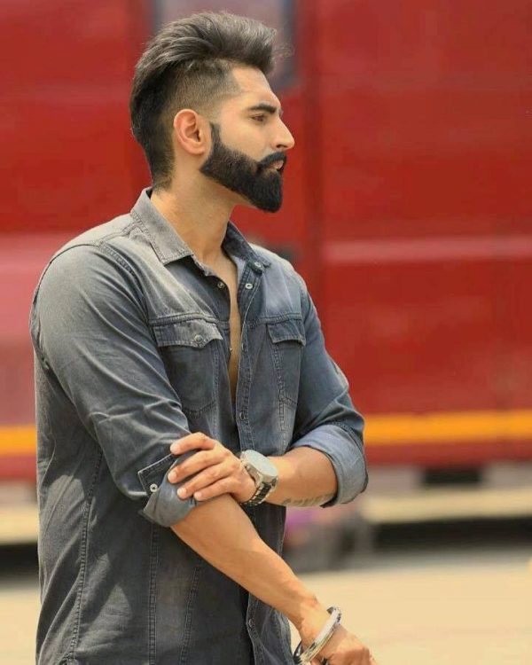 Side Pose Of Parmish Verma