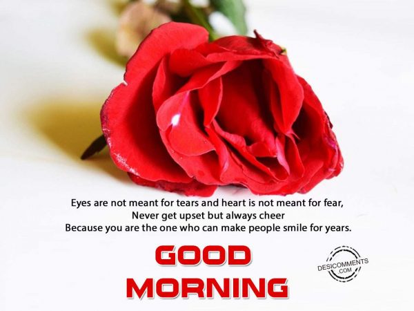 Eyes Are Not Meant For Tears - Good Morning