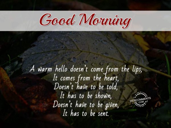 Good Morning - A Warm Hello