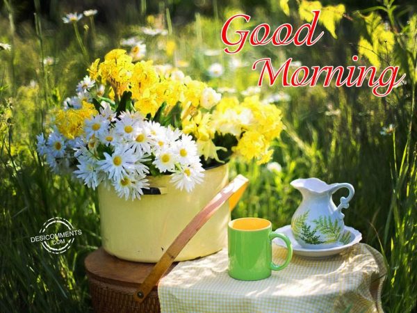 Good Morning – Have A Amazing Day