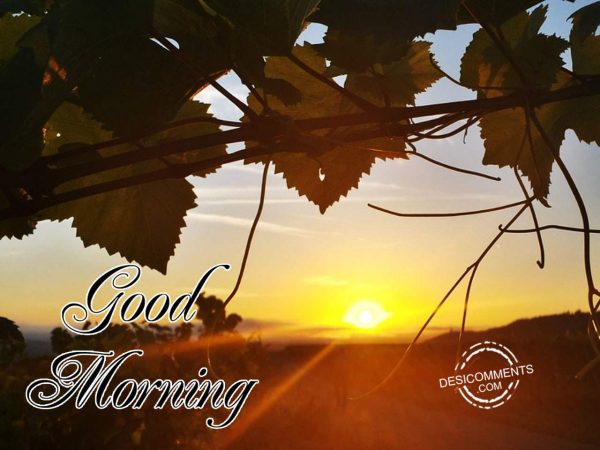 Good Morning – Have A Awesome Day