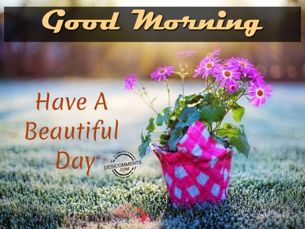 Good Morning – Have A Beautiful Day