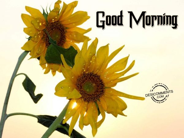 Good Morning – Have A Fabulous Day