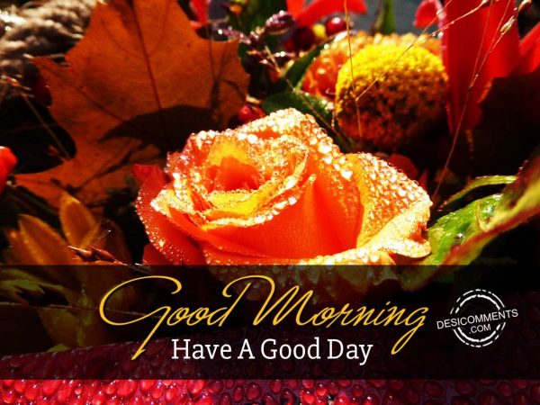 Good Morning – Wishing You A Good Day