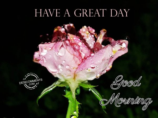 Good Morning – Wishing You A Great Day