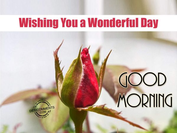 Good Morning – Wishing You A Lovely Day