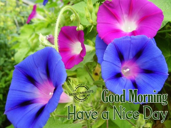 Have A Beautiful And Fabulous Day – Good Morning
