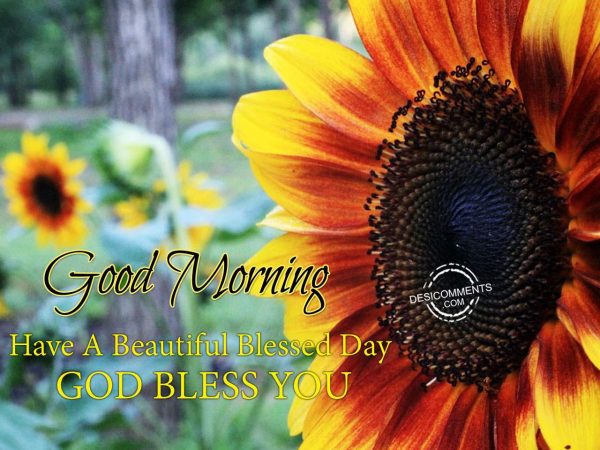 Have A Beautiful Blessed Day