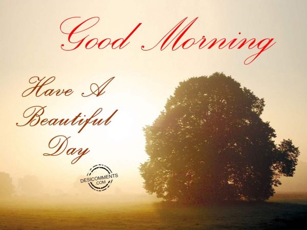 Have A Beautiful Day - Good Morning.